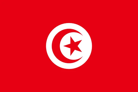 Tunisia - Predictions Ligue 1 - Analysis, tips and statistics