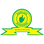 Logo of Mamelodi Sundowns
