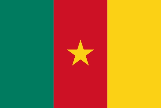 Flag of Cameroon