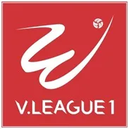 Flag of V-League