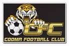 Logo of Cooma Tigers