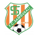 Logo of Samgurali