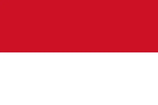 Indonesia - Liga 1