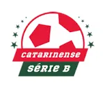 Flag of Catarinense 2