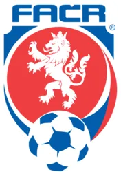 Flag of U19 League