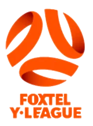 Flag of National Youth League