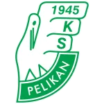 Logo of Pelikan Łowicz