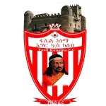 Logo of Fasil Ketema