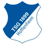 Logo of Hoffenheim W