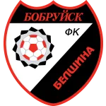 Logo of Belshina