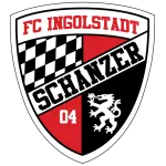 Logo of Pinzgau Saalfelden