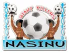 Logo of Nasinu