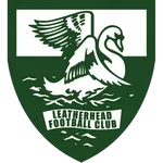 Logo of Leatherhead