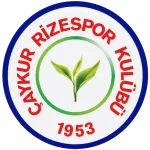 Logo of Rizespor U19