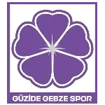Logo of Güzide Gebzespor