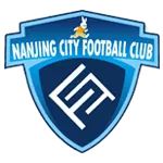 Logo of Nanjing City