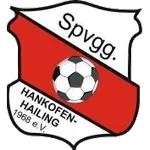 Logo of Hankofen-Hailing