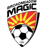 Logo of Broadmeadow Magic