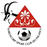 Logo of Kabuscorp