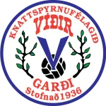 Logo of Vídir