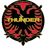 Logo of Dandenong Thunder