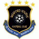 Logo of Wexford Youths