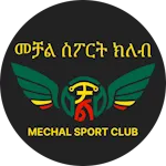 Logo of Mechal FC