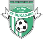 Logo of Dukagjini