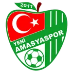 Logo of Yeni Amasyaspor
