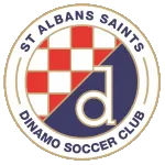Logo of St. Albans Saints U23