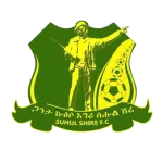 Logo of Shire Endaselassie