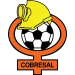 Logo of Cobresal