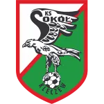 Logo of Sokół Kleczew