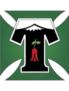 Logo of Deportes Temuco