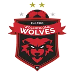 Logo of Wollongong Wolves