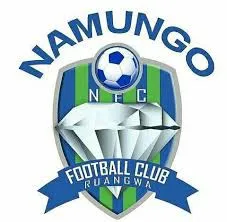Logo of Namungo