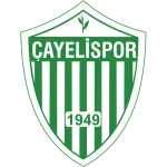 Logo of Çayelispor