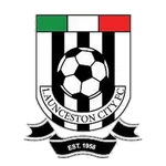 Logo of Launceston City