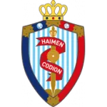 Logo of Haimen Codion