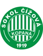 Logo of Sokol Zápy