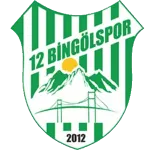 Logo of 12 Bingölspor