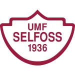 Logo of Selfoss