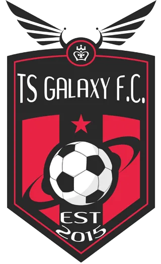 Logo of TS Galaxy