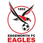 Logo of Edgeworth Eagles