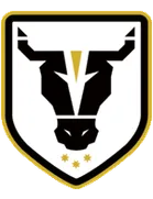 Logo of Bulls Academy