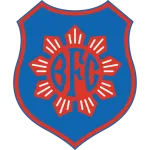 Logo of Bonsucesso