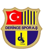 Logo of 24 Erzincanspor
