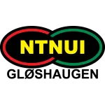 Logo of NTNUI