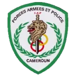 Logo of FAP