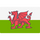 Logo of Wales